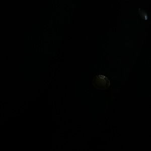 Meet your Posher, Marleni